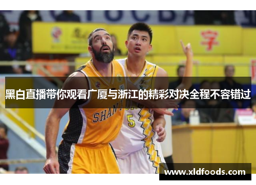 黑白直播带你观看广厦与浙江的精彩对决全程不容错过