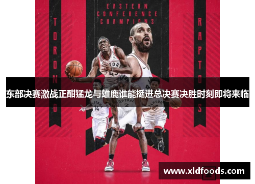 东部决赛激战正酣猛龙与雄鹿谁能挺进总决赛决胜时刻即将来临