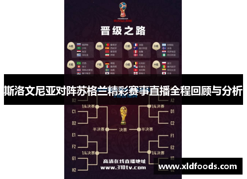 斯洛文尼亚对阵苏格兰精彩赛事直播全程回顾与分析