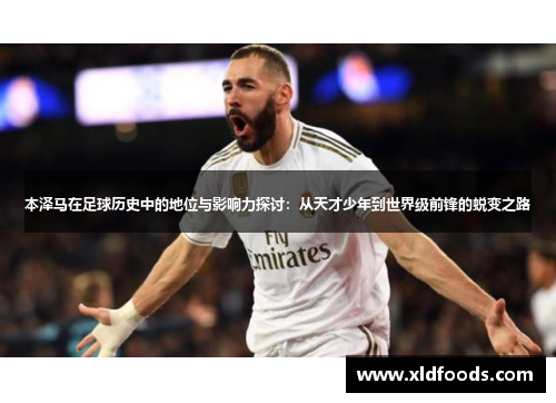 本泽马在足球历史中的地位与影响力探讨：从天才少年到世界级前锋的蜕变之路