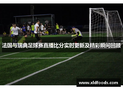 法国与瑞典足球赛直播比分实时更新及精彩瞬间回顾